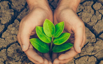 El país avanza medidas para la lucha climática