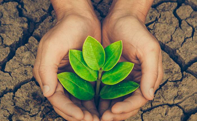 El país avanza medidas para la lucha climática